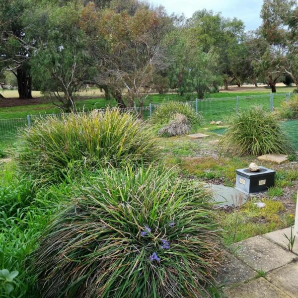 4Versawall Oatmeal | Havenbrick Oatmeal | Middleton4